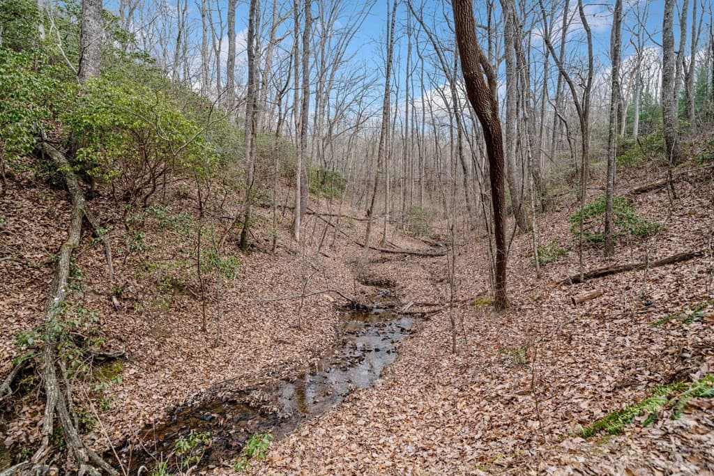 0 Big Oak Drive, Jasper GA 30143 - Photo