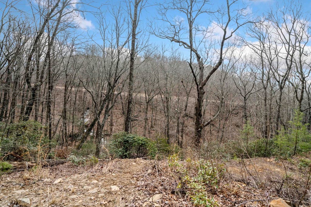 0 Big Oak Drive, Jasper GA 30143 - Photo