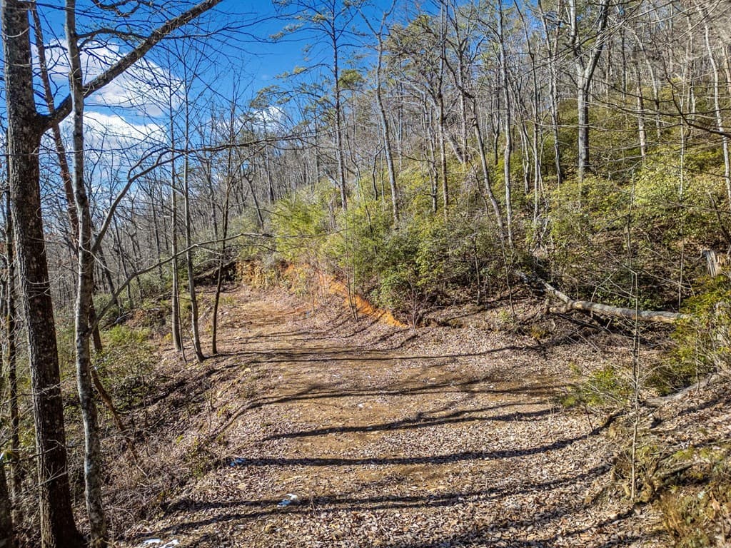 0 Big Oak Drive, Jasper GA 30143 - Photo