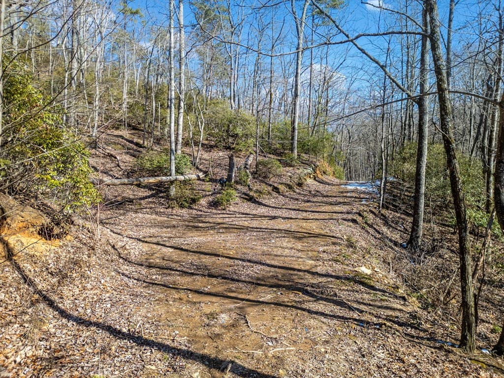 0 Big Oak Drive, Jasper GA 30143 - Photo