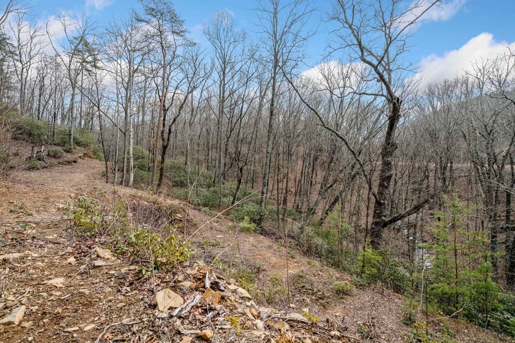 0 Big Oak Drive, Jasper GA 30143 - Photo