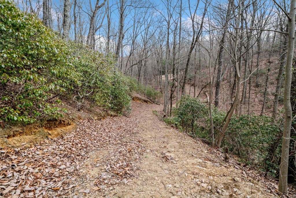 0 Big Oak Drive, Jasper GA 30143 - Photo