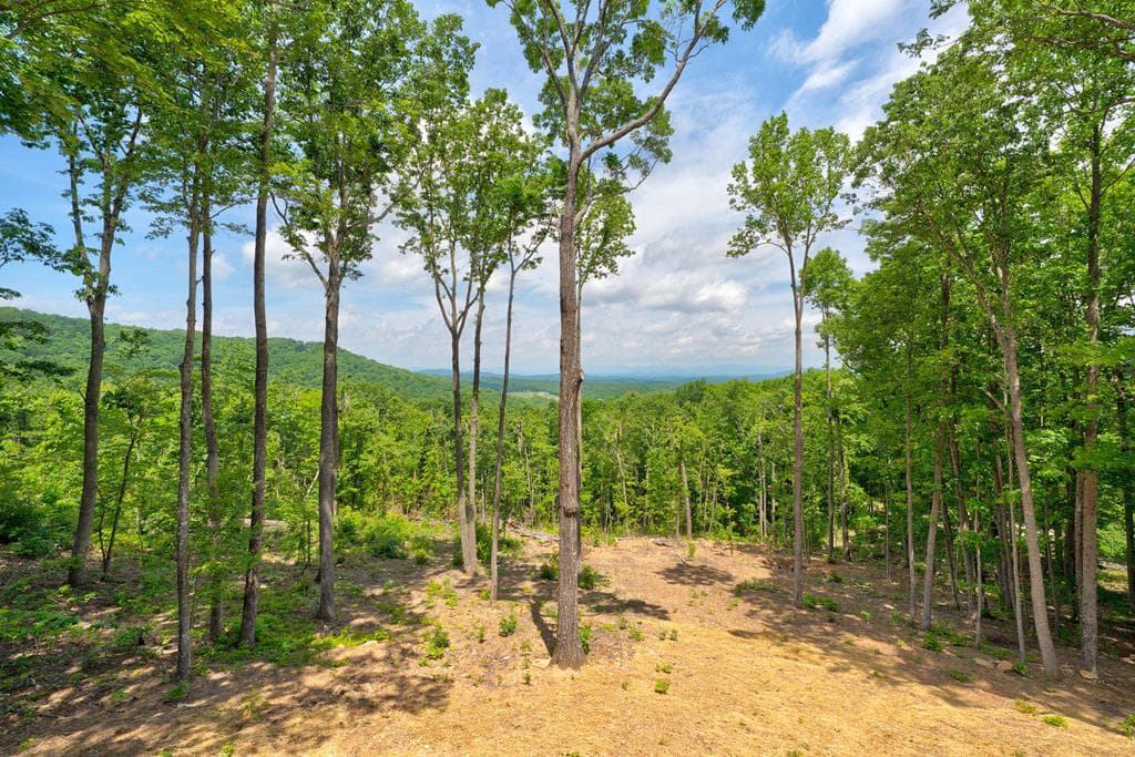 23 Green Cabin Way, Talking Rock GA 30175 - Photo