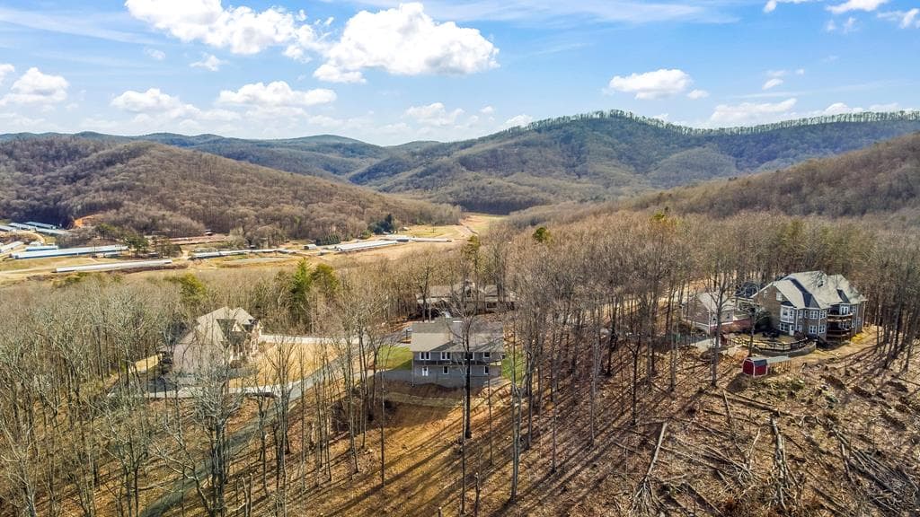 23 Green Cabin Way, Talking Rock GA 30175 - Photo