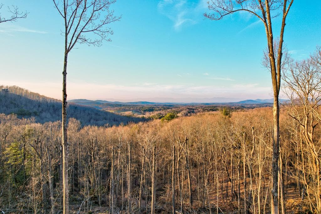 23 Green Cabin Way, Talking Rock GA 30175 - Photo