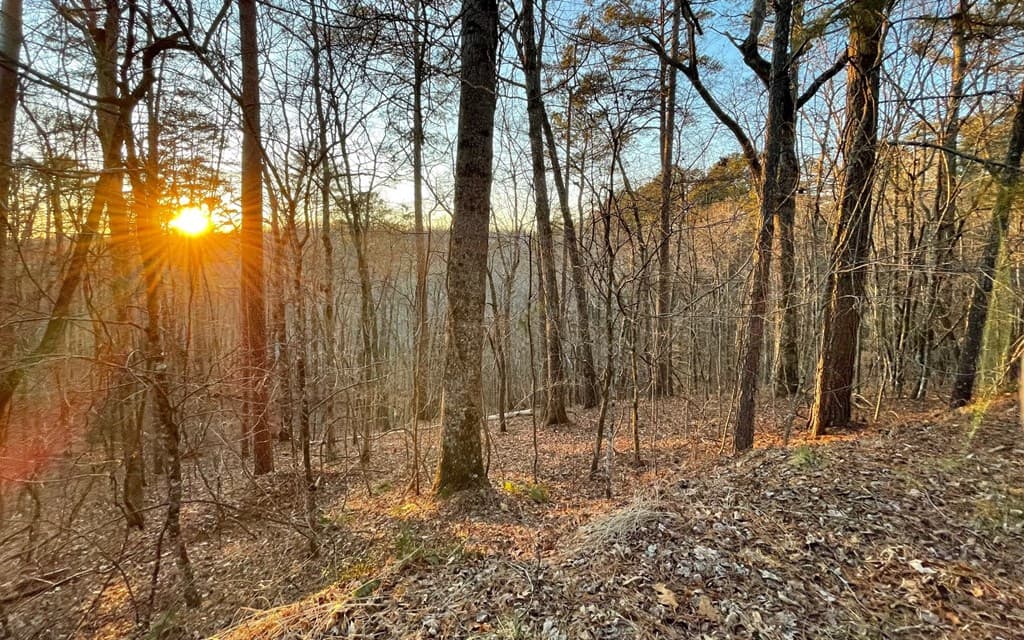 681,682 Julep Circle, Ellijay GA 30540 - Photo