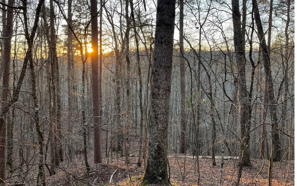 681,682 Julep Circle, Ellijay GA 30540 - Photo