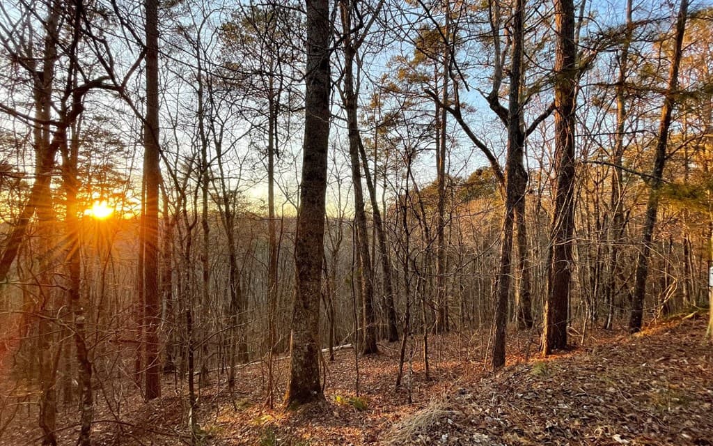 681,682 Julep Circle, Ellijay GA 30540 - Photo