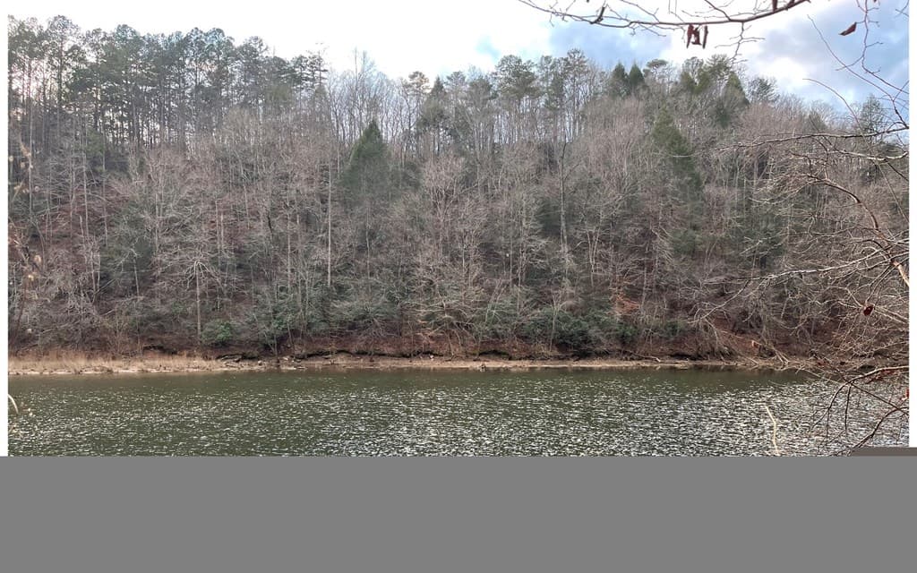 681,682 Julep Circle, Ellijay GA 30540 - Photo