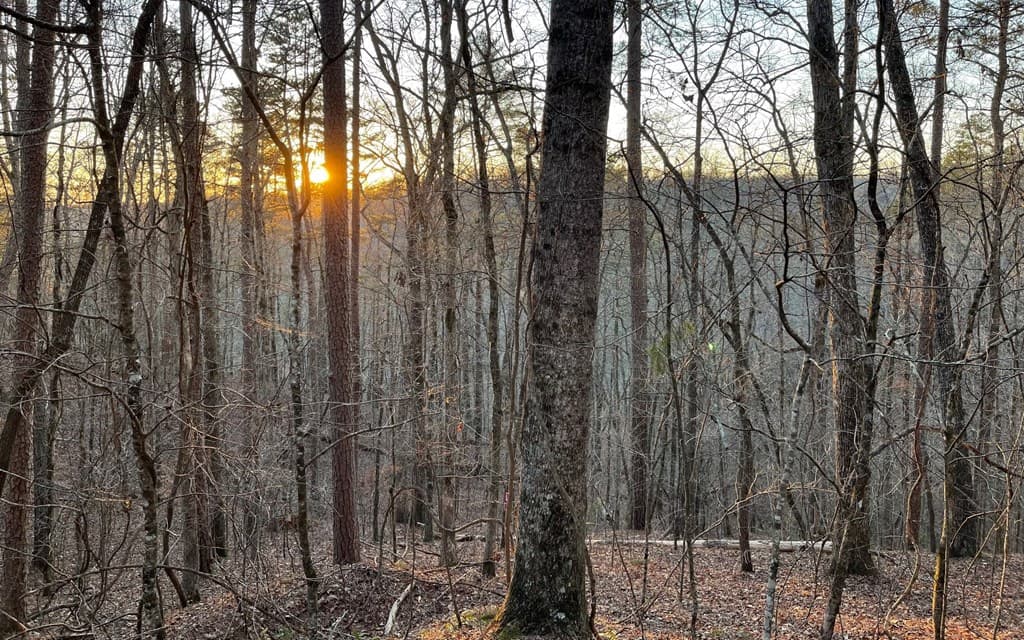 681,682 Julep Circle, Ellijay GA 30540 - Photo