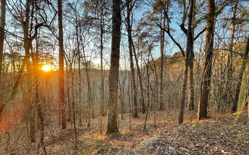 681,682 Julep Circle, Ellijay GA 30540 - Photo