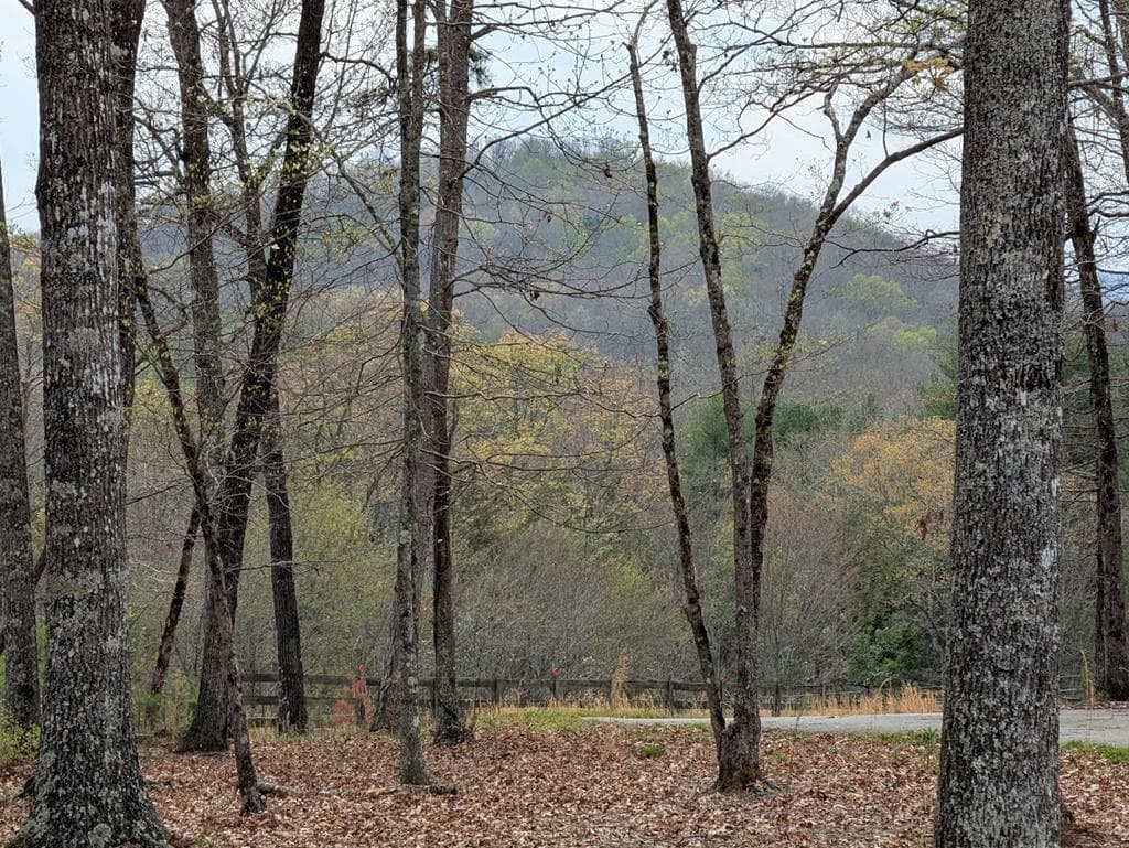 12 Daisy Drive, Brasstown NC 28902 - Photo