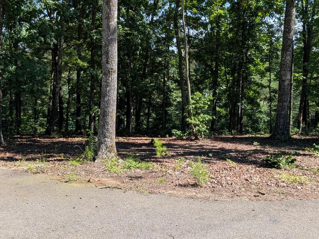 12 Daisy Drive, Brasstown NC 28902 - Photo