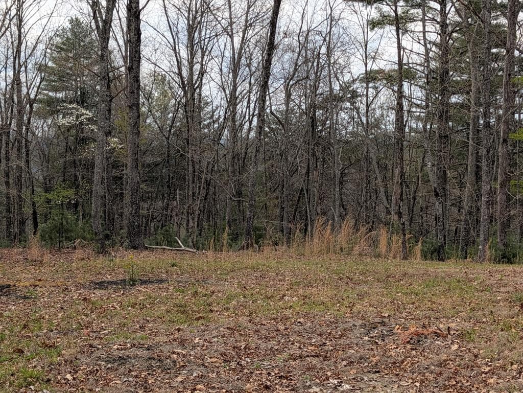 12 Daisy Drive, Brasstown NC 28902 - Photo