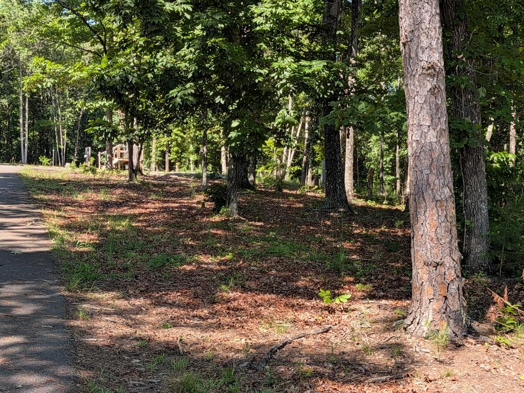 12 Daisy Drive, Brasstown NC 28902 - Photo