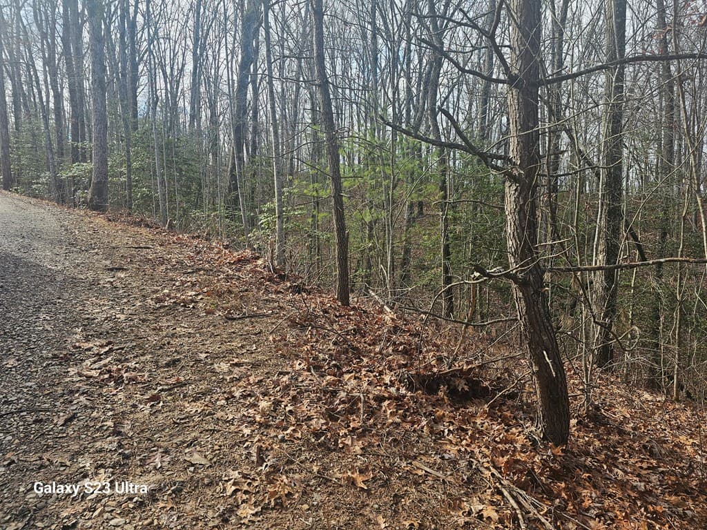 00 Antler Lane, Murphy NC 28906 - Photo