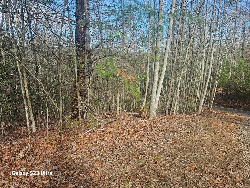 00 Antler Lane, Murphy NC 28906 - Primary photo