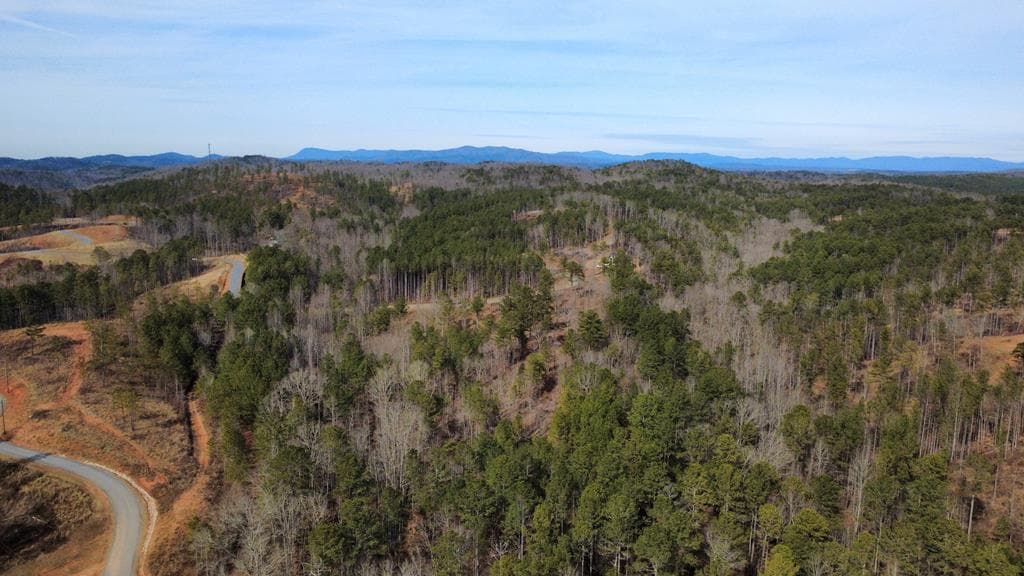 Lot 108 Blalock Mountain Road, Talking Rock GA 30175 - Photo