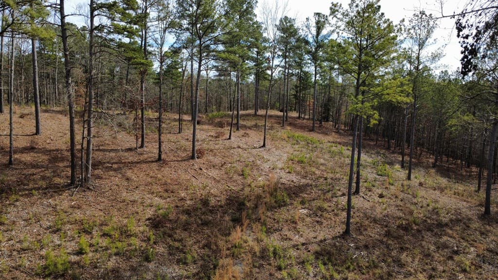 Lot 108 Blalock Mountain Road, Talking Rock GA 30175 - Photo
