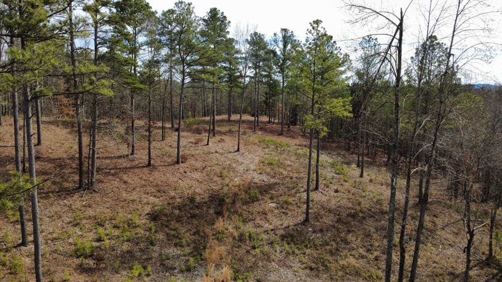 Lot 108 Blalock Mountain Road, Talking Rock GA 30175 - Photo