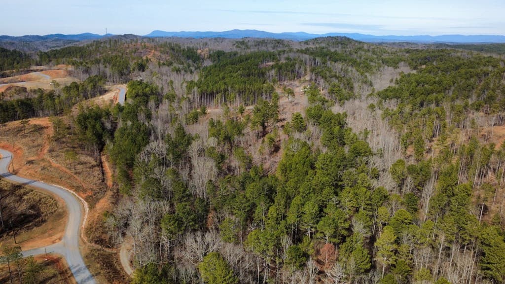 Lot 108 Blalock Mountain Road, Talking Rock GA 30175 - Photo