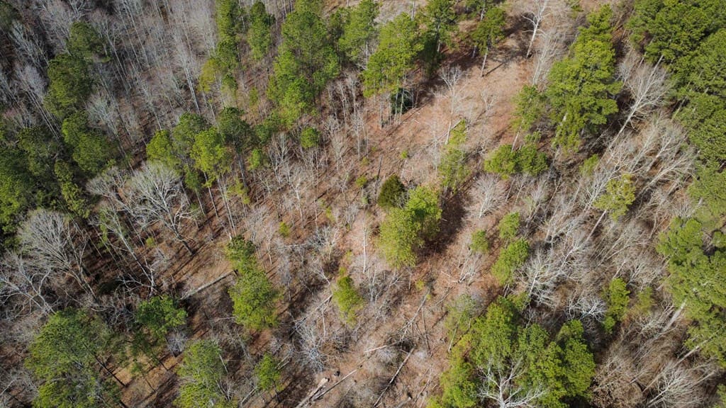 Lot 108 Blalock Mountain Road, Talking Rock GA 30175 - Photo