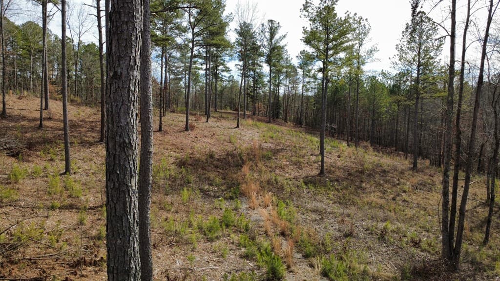 Lot 108 Blalock Mountain Road, Talking Rock GA 30175 - Photo