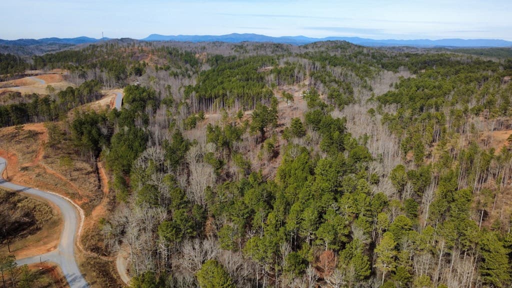Lot 108 Blalock Mountain Road, Talking Rock GA 30175 - Photo