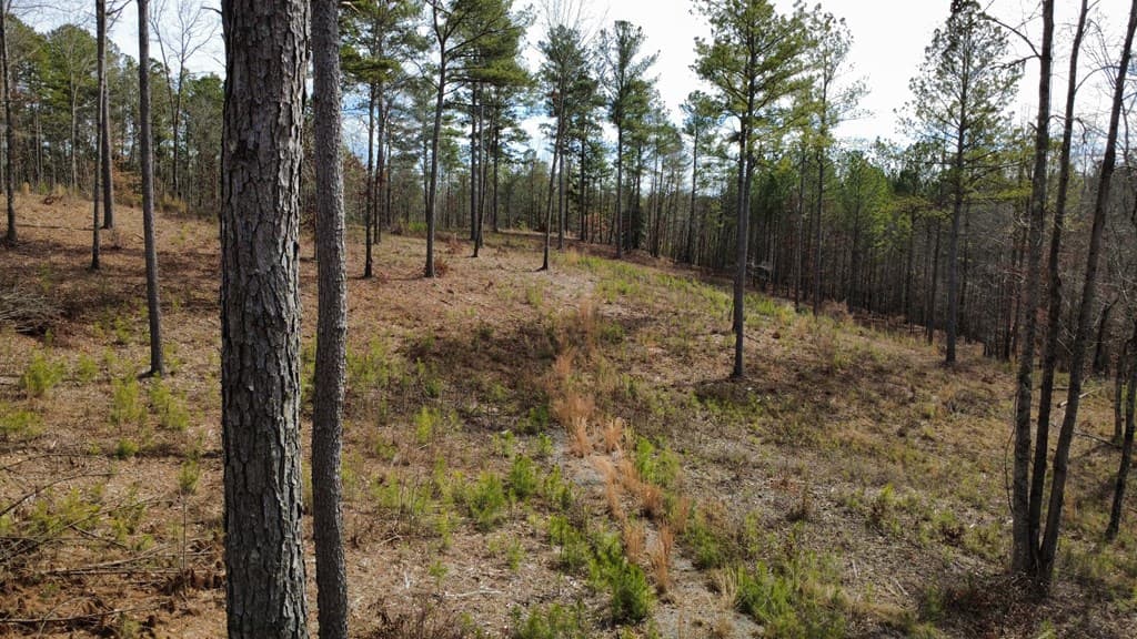 Lot 108 Blalock Mountain Road, Talking Rock GA 30175 - Photo