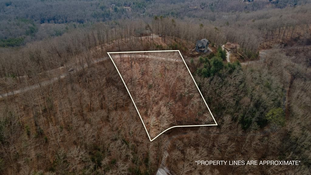 Lot 7 Ada Ridge Road, Mineral Bluff GA 30559 - Primary photo