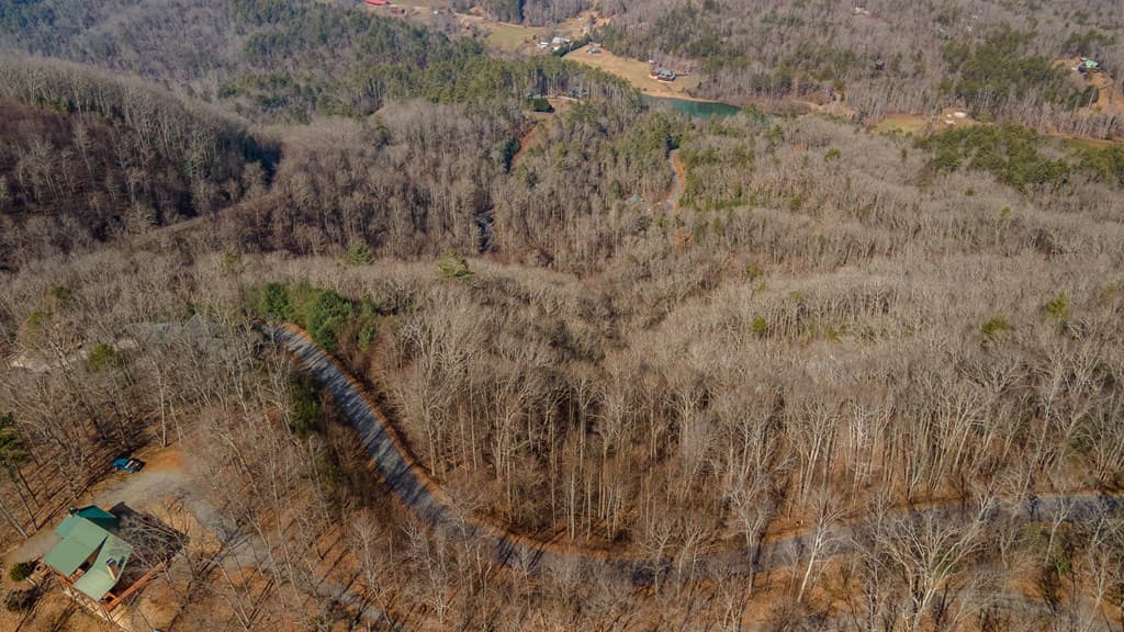 Lot 7 Ada Ridge Road, Mineral Bluff GA 30559 - Photo
