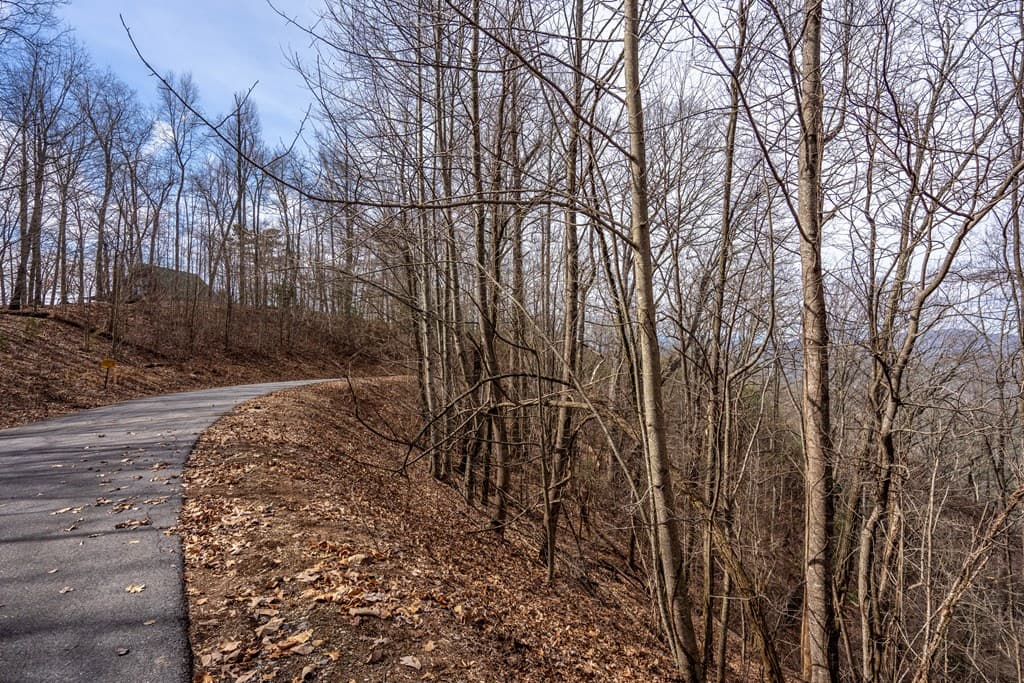 Lot 7 Ada Ridge Road, Mineral Bluff GA 30559 - Photo