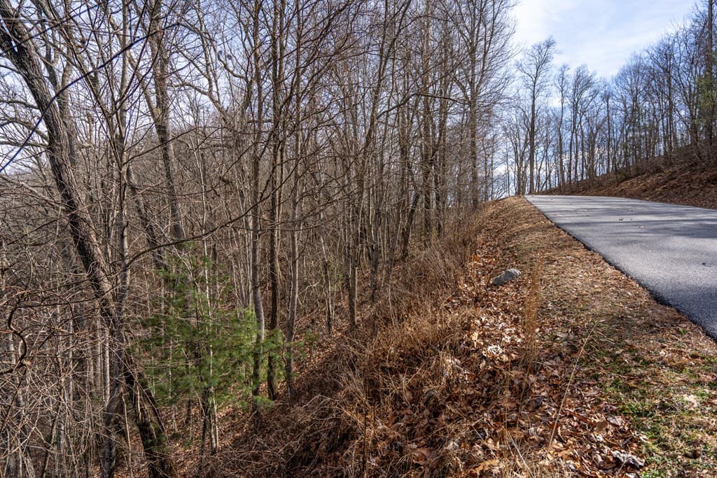 Lot 7 Ada Ridge Road, Mineral Bluff GA 30559 - Photo