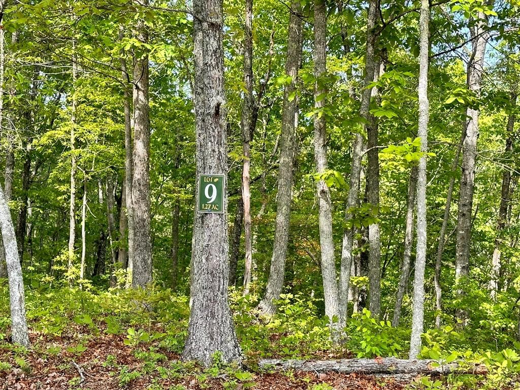 Lot 9 Settawig Overlook, Hayesville NC 28904 - Photo