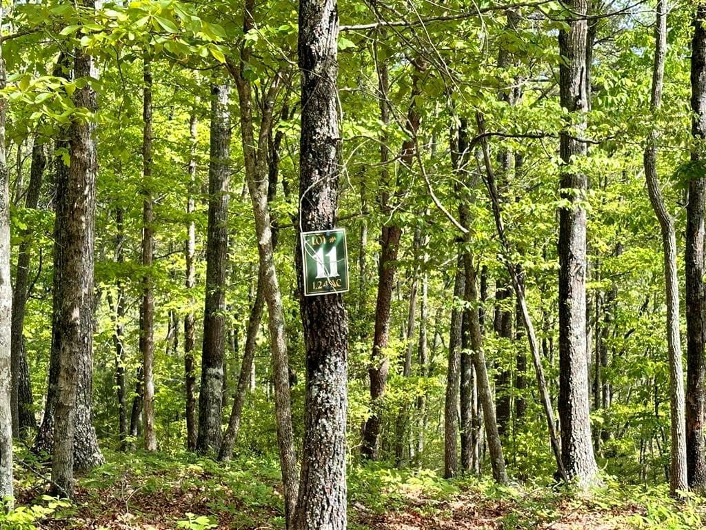 Lot 11 Settawig Overlook, Hayesville NC 28904 - Photo