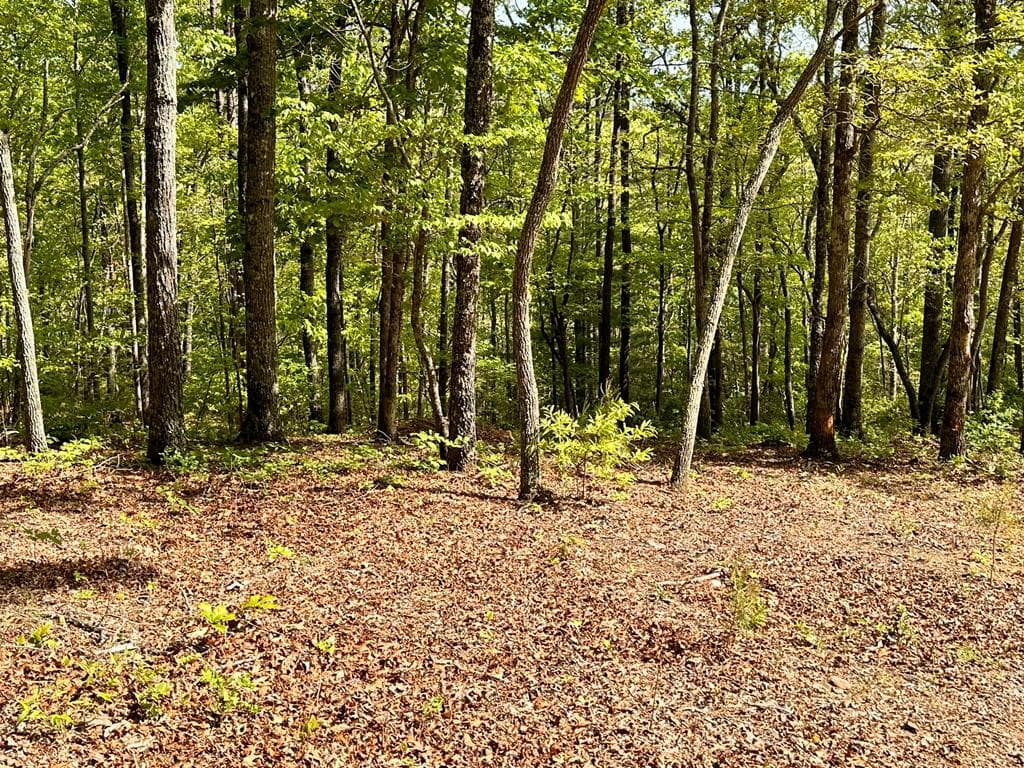 Lot 11 Settawig Overlook, Hayesville NC 28904 - Photo