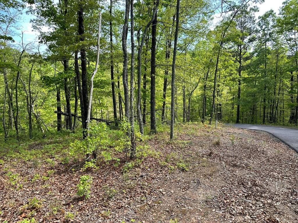 Lot 12 Settawig Overlook, Hayesville NC 28904 - Photo
