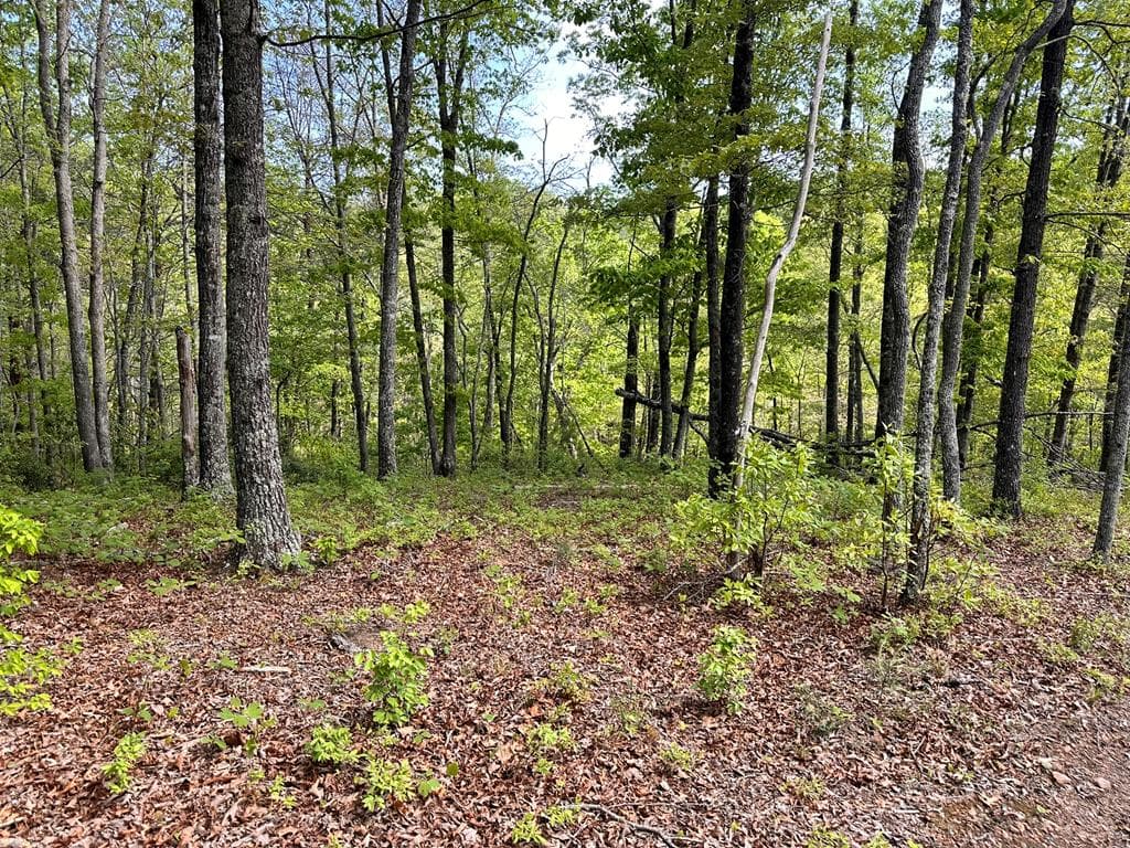 Lot 12 Settawig Overlook, Hayesville NC 28904 - Photo