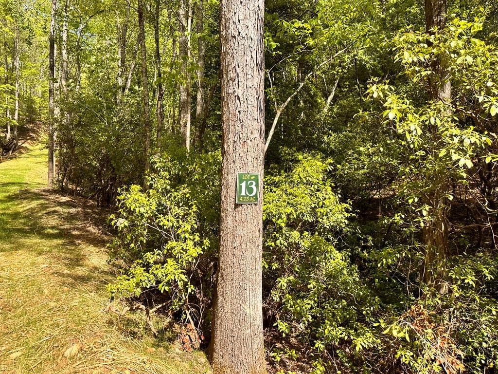 Lot 13 Settawig Overlook, Hayesville NC 28904 - Photo