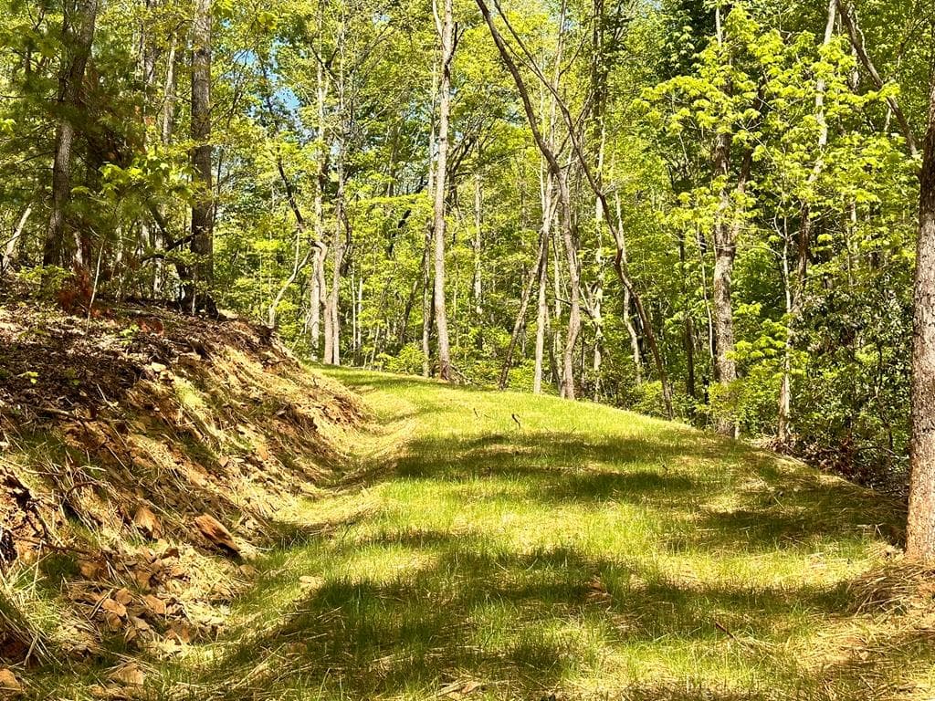 Lot 13 Settawig Overlook, Hayesville NC 28904 - Photo