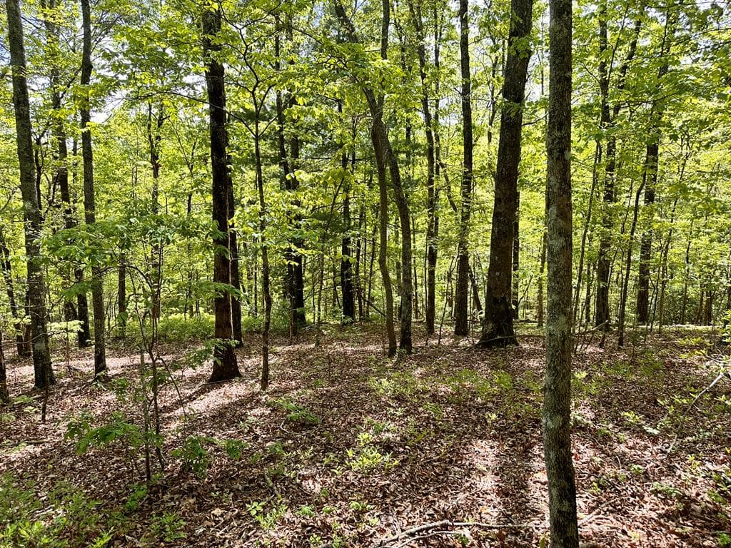 Lot 13 Settawig Overlook, Hayesville NC 28904 - Photo