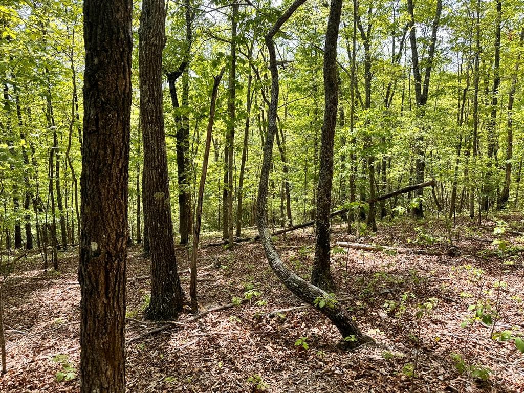 Lot 13 Settawig Overlook, Hayesville NC 28904 - Photo