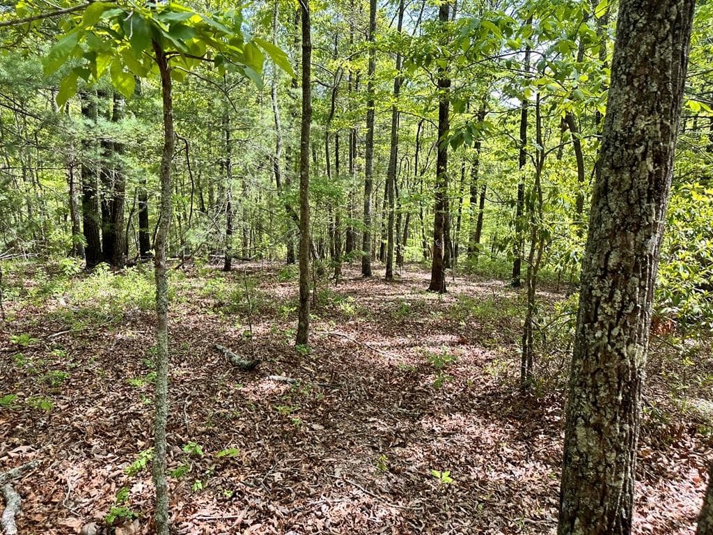 Lot 13 Settawig Overlook, Hayesville NC 28904 - Photo