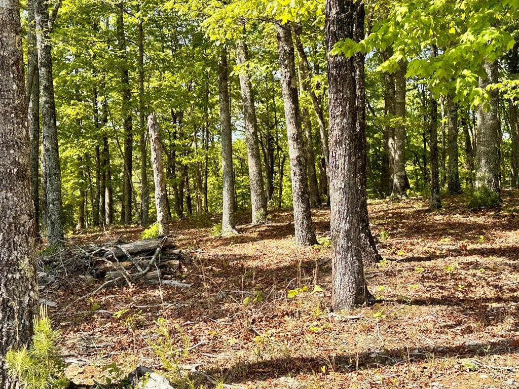 Lot 16 Settawig Overlook, Hayesville NC 28904 - Photo