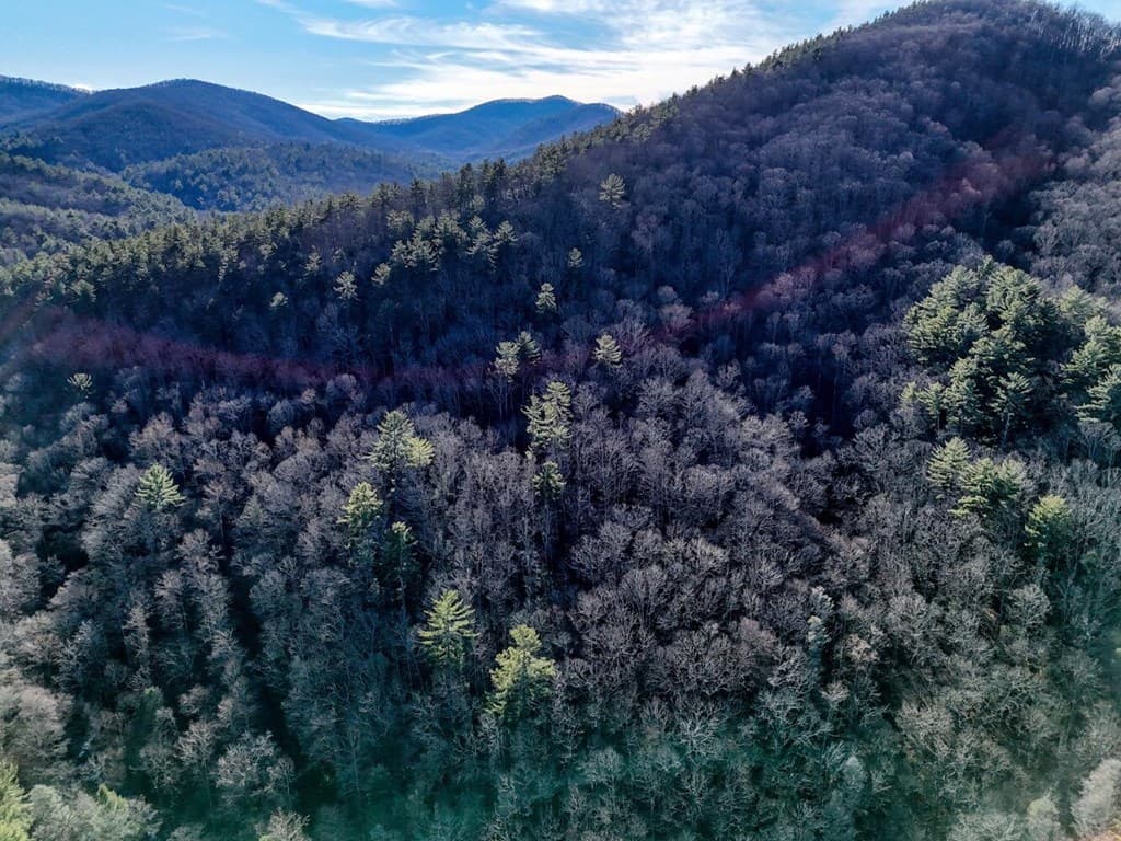 Lot 28 Highland Falls, Blairsville GA 30512 - Photo