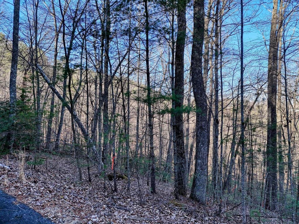 Lot 28 Highland Falls, Blairsville GA 30512 - Photo