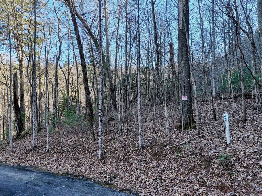 Lot 27 Highland Falls, Blairsville GA 30512 - Photo