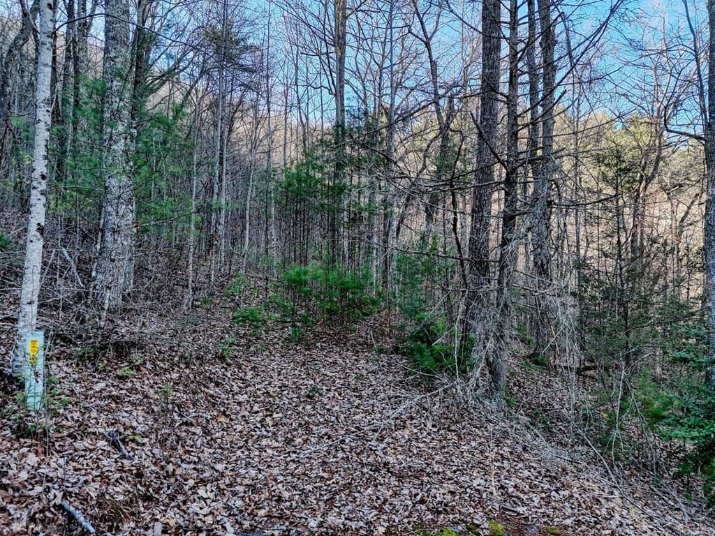 Lot 25 Highland Falls, Union GA 30512 - Photo