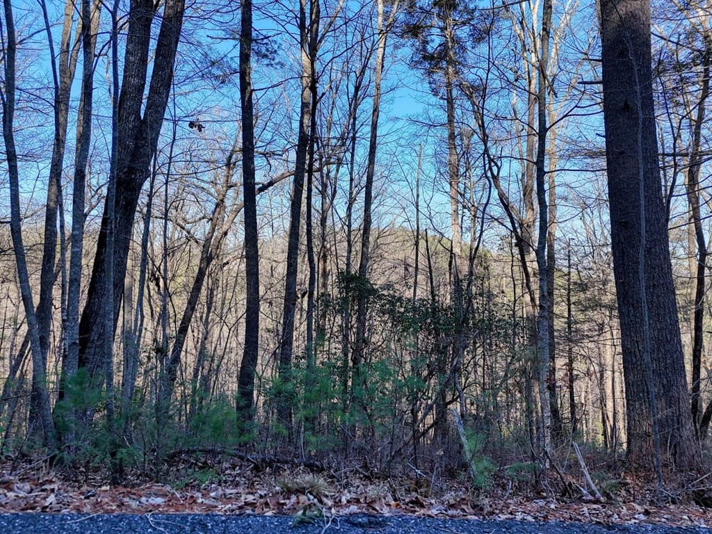 Lot 25 Highland Falls, Union GA 30512 - Photo
