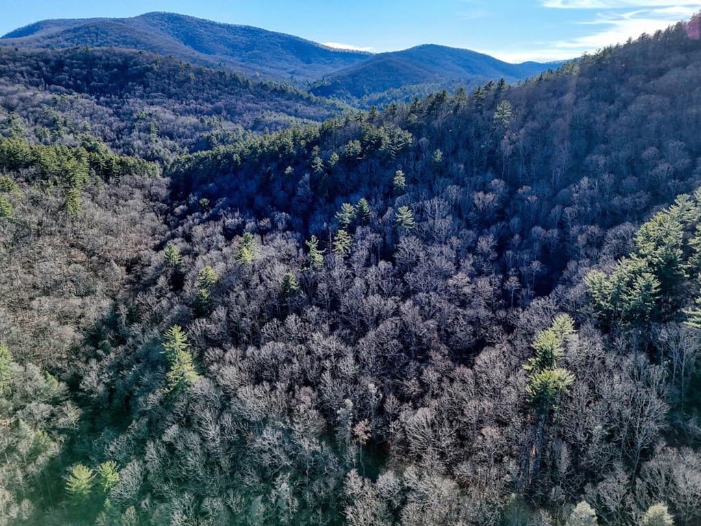 Lot 25 Highland Falls, Union GA 30512 - Photo